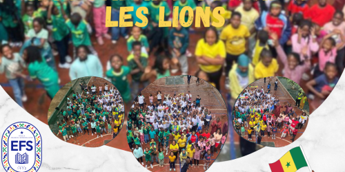 L'école franco-sénégalaise soutient les lions du Sénégal