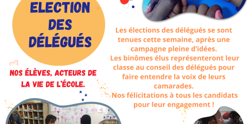 Élections des délégués : une belle leçon de démocratie à l'école !