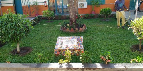 Un projet de développement durable à l'école